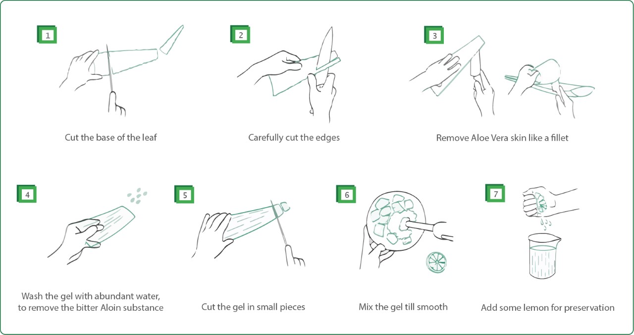 how-to-use-aloe vera
